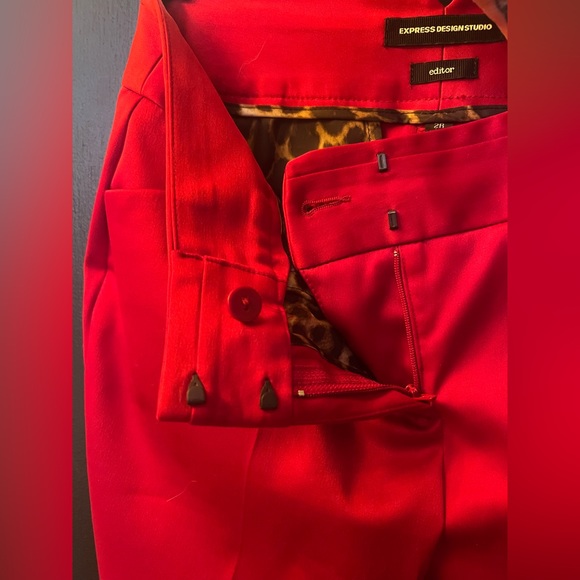 Express Design Studio Editor Pants - Picture 5 of 7